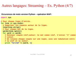 Autres langages: Streaming – Ex. Python (4/7)
48
Amal ABID – Cours GI3 ENIS
 