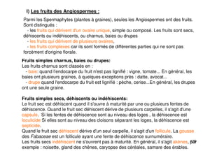 129
Parmi les Spermaphytes (plantes à graines), seules les Angiospermes ont des fruits.
Sont distingués :
- les fruits qui dérivent d'un ovaire unique, simple ou composé. Les fruits sont secs,
déhiscents ou indéhiscents, ou charnus, baies ou drupes
- les fruits qui dérivent de plusieurs ovaires,
- les fruits complexes car ils sont formés de différentes parties qui ne sont pas
forcément d'origine florale.
I) Les fruits des Angiospermes :
Fruits simples charnus, baies ou drupes:
Les fruits charnus sont classés en :
- baie: quand l’endocarpe du fruit n'est pas lignifié : vigne, tomate... En général, les
baies ont plusieurs graines, à quelques exceptions près : datte, avocat...
- drupe quand l'endocarpe du fruit est lignifié : pèche, cerise...En général, les drupes
ont une seule graine.
Fruits simples secs, déhiscents ou indéhiscents:
Le fruit sec est déhiscent quand il s'ouvre à maturité par une ou plusieurs fentes de
déhiscence. Quand le fruit sec déhiscent dérive de plusieurs carpelles, il s'agit d'une
capsule. Si les fentes de déhiscence sont au niveau des loges , la déhiscence est
loculicide Si elles sont au niveau des cloisons séparant les loges, la déhiscence est
septicide.
Quand le fruit sec déhiscent dérive d'un seul carpelle, il s'agit d'un follicule. La gousse
des Fabaceae est un follicule ayant une fente de déhiscence surnuméraire.
Les fruits secs indéhiscent ne s'ouvrent pas à maturité. En général, il s'agit akènes, par
exemple : noisette, gland des chênes, caryopse des céréales, samare des érables.
 
