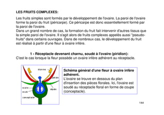 144
LES FRUITS COMPLEXES:
Les fruits simples sont formés par le développement de l'ovaire. La paroi de l'ovaire
forme la paroi du fruit (péricarpe). Ce péricarpe est donc essentiellement formé par
la paroi de l'ovaire.
Dans un grand nombre de cas, la formation du fruit fait intervenir d'autres tissus que
la simple paroi de l'ovaire. Il s'agit alors de fruits complexes appelés aussi "pseudo-
fruits" dans certains ouvrages. Dans de nombreux cas, le développement du fruit
est réalisé à partir d'une fleur à ovaire infère.
1 - Réceptacle devenant charnu, soudé à l'ovaire (piridion):
C'est le cas lorsque la fleur possède un ovaire infère adhérent au réceptacle.
Schéma général d'une fleur à ovaire infère
adhérent.
L'ovaire se trouve en dessous du plan
d'insertion des pièces florales. Ici, l'ovaire est
soudé au réceptacle floral en forme de coupe
(conceptacle).
 