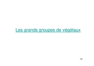 148
Les grands groupes de végétaux
 