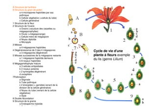 196
Cycle de vie d'une
plante à fleurs exemple
du lis (genre Lilium)
A Structure de l'anthère
B Structure du grain de pollen
a 4 microspores haploïdes par sac
pollinique
b Cellule végétative (=cellule du tube)
c Cellule générative
1 Structure de la fleur
2 Structure de l'ovaire
a Ovaire (=soudure des carpelles ou
mégasporophylles)
b Ovule (=mégasporange)
c Cellule-mère de mégaspore
d Noyau diploïde
e Micropyle
3 Méiose
a 4 mégaspores haploïdes
4 Dégénérescence de 3 des 4 mégaspores
a 3 mégaspores dégénérant
5 Mitoses successives de la mégaspore restante
a 1 mégaspore haploïde demeure
b 8 noyaux haploïdes
6 Mégagamétophyte mature
a 3 cellules antipodiales
b 2 noyaux polaires
c 2 synergides dégénérant
d ovosphère
7Pollinisation
a Stigmate
b Tube pollinique
c 2 énergides (= gamètes venant de la
division de la cellule générative)
d Noyau du tube (venant de la cellule
végétative)
e Style
8 Double fécondation
9 Structure de la graine
a Endosperme triploïde
b Embryon diploïde
 