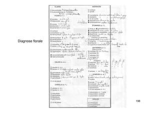 198
Diagnose florale
 