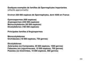 200
Quelques exemples de familles de Spermaphytes importantes
(effectifs approximatifs)
Environ 250 000 espèces de Spermaphytes, dont 4300 en France
Gymnospermes (600 espèces)
Angiospermes (240 000 espèces)
Monocotylédones (60 000 espèces)
Dicotylédones (180 000 espèces)
Principales familles d'Angiospermes
Monocotylédones
Orchidacées (18 000 espèces, 750 genres)
Dicotylédones
Asteracées (ex-Composées, 20 000 espèces, 1000 genres)
Fabacées (ex-Légumineuses, 15 000 espèces, 700 genres)
Poacées (ex-Graminées, 10 000 espèces, 660 genres)
 