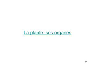 34
La plante: ses organes
 