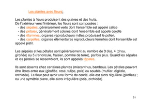 51
Les plantes avec fleurs:
Les plantes à fleurs produisent des graines et des fruits.
De l'extérieur vers l'intérieur, les fleurs sont composées :
- des sépales, généralement verts dont l'ensemble est appelé calice
- des pétales, généralement colorés dont l'ensemble est appelé corolle
- des étamines, organes reproducteurs mâles produisant le pollen,
- des carpelles, organes élémentaires reproducteurs femelles dont l'ensemble est
appelé pistil.
Les sépales et les pétales sont généralement au nombre de 3 (lis), 4 (chou,
giroflée) ou 5 (renoncule, fraisier, pomme de terre), parfois plus. Quand les sépales
et les pétales se ressemblent, ils sont appelés tépales.
Ils sont absents chez certaines plantes (miscanthus, bambou). Les pétales peuvent
être libres entre eux (giroflée, rose, tulipe, pois) ou soudés (muflier, digitale,
orchidée). La fleur peut avoir une forme de cercle, elle est alors régulière (giroflée) ;
ou une symétrie plane, elle alors irrégulière (pois, orchidée).
 