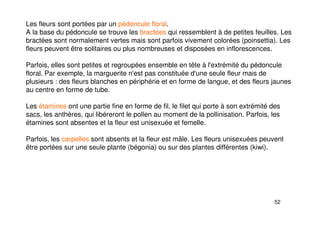 52
Les fleurs sont portées par un pédoncule floral.
A la base du pédoncule se trouve les bractées qui ressemblent à de petites feuilles. Les
bractées sont normalement vertes mais sont parfois vivement colorées (poinsettia). Les
fleurs peuvent être solitaires ou plus nombreuses et disposées en inflorescences.
Parfois, elles sont petites et regroupées ensemble en tête à l'extrémité du pédoncule
floral. Par exemple, la marguerite n'est pas constituée d'une seule fleur mais de
plusieurs : des fleurs blanches en périphérie et en forme de langue, et des fleurs jaunes
au centre en forme de tube.
Les étamines ont une partie fine en forme de fil, le filet qui porte à son extrémité des
sacs, les anthères, qui libéreront le pollen au moment de la pollinisation. Parfois, les
étamines sont absentes et la fleur est unisexuée et femelle.
Parfois, les carpelles sont absents et la fleur est mâle. Les fleurs unisexuées peuvent
être portées sur une seule plante (bégonia) ou sur des plantes différentes (kiwi).
 