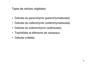 6
Types de cellules végétales:
• Cellules du parenchyme (parenchymateuses)
• Cellules du collenchyme (collenchymateuses)
• Cellules du sclérenchyme (scléreuses)
• Trachéïdes et éléments de vaisseaux
• Cellules criblées
 