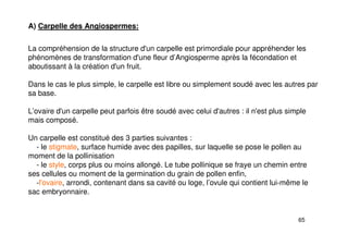 65
A) Carpelle des Angiospermes:
La compréhension de la structure d'un carpelle est primordiale pour appréhender les
phénomènes de transformation d'une fleur d’Angiosperme après la fécondation et
aboutissant à la création d'un fruit.
Dans le cas le plus simple, le carpelle est libre ou simplement soudé avec les autres par
sa base.
L’ovaire d'un carpelle peut parfois être soudé avec celui d'autres : il n'est plus simple
mais composé.
Un carpelle est constitué des 3 parties suivantes :
- le stigmate, surface humide avec des papilles, sur laquelle se pose le pollen au
moment de la pollinisation
- le style, corps plus ou moins allongé. Le tube pollinique se fraye un chemin entre
ses cellules ou moment de la germination du grain de pollen enfin,
-l'ovaire, arrondi, contenant dans sa cavité ou loge, l’ovule qui contient lui-même le
sac embryonnaire.
 