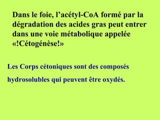 Dans le foie, l’acétyl-CoA formé par la
dégradation des acides gras peut entrer
dans une voie métabolique appelée
«!Cétogénèse!»
Les Corps cétoniques sont des composés
hydrosolubles qui peuvent être oxydés.
 