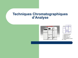 Techniques Chromatographiques d’Analyse 