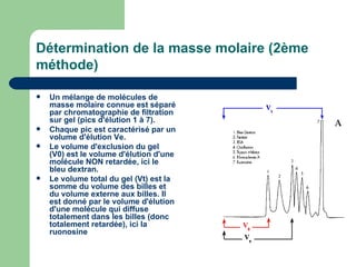 Détermination de la masse molaire (2ème méthode)   Un mélange de molécules de masse molaire connue est séparé par chromatographie de filtration sur gel (pics d'élution 1 à 7).   Chaque pic est caractérisé par un volume d'élution Ve.   Le volume d'exclusion du gel (V0) est le volume d'élution d'une molécule NON retardée, ici le bleu dextran.   Le volume total du gel (Vt) est la somme du volume des billes et du volume externe aux billes. Il est donné par le volume d'élution d'une molécule qui diffuse totalement dans les billes (donc totalement retardée), ici la ruonosine   