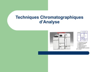 Techniques Chromatographiques d’Analyse 