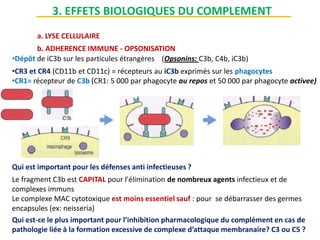 a. LYSE CELLULAIRE
b. ADHERENCE IMMUNE - OPSONISATION
•Dépôt de iC3b sur les particules étrangères (Opsonins: C3b, C4b, iC3b)
•CR3 et CR4 (CD11b et CD11c) = récepteurs au iC3b exprimés sur les phagocytes
•CR1= récepteur de C3b (CR1: 5 000 par phagocyte au repos et 50 000 par phagocyte activee)
Qui est important pour les défenses anti infectieuses ?
Le fragment C3b est CAPITAL pour l'élimination de nombreux agents infectieux et de
complexes immuns
Le complexe MAC cytotoxique est moins essentiel sauf : pour se débarrasser des germes
encapsules (ex: neisseria)
Qui est-ce le plus important pour l’inhibition pharmacologique du complément en cas de
pathologie liée à la formation excessive de complexe d’attaque membranaire? C3 ou C5 ?
3. EFFETS BIOLOGIQUES DU COMPLEMENT
 