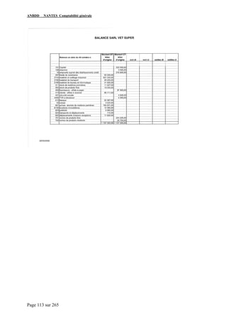 ANBDD NANTES Comptabilité générale
Page 113 sur 265
 