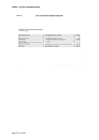 ANBDD NANTES Comptabilité générale
Page 217 sur 265
 