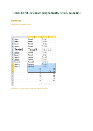 Cours Excel : les bases (alignements, fusion, couleurs)
Alignements
Sélectionnez les cellules B11 à C14.

Pour aligner à gauche, cliquez sur « Aligner le texte à gauche » :

 