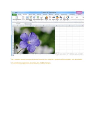 Les 4 premiers boutons vous permettent de retoucher votre image et d'ajouter un effet artistique si vous le souhaitez.
Un exemple avec suppression de l'arrière-plan et effet artistique :

 