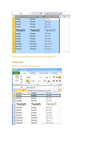 Toutes les colonnes sélectionnées subissent les mêmes changements.

Texte en gras
Sélectionnez ces 3 cellules puis cliquez sur G.

 