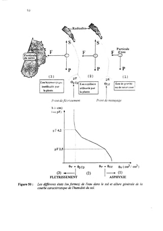 Particule
~‘Z’4,2
PF 2,5


______i“‘..;@v f epfp 0v = 8cr e+J: CU?,
I
(3) - I
FLETRISSEMENT
(2) I- (1)
ASPHTXE
Figure 50 : Les diyérents états (ouformes) de l’eau dans le sol et allure ghérale de la
courbe caractéristique de I’humidité du sol.
 
