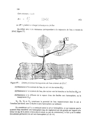 où 3’4’ = gadierLt Cc charge hydraulique e; q le flux
On dCfinit ainsi trais résistances correspondant à la trajectoire de Veau à travers le
SPAC (figure 57).
(1) Résistance à I’ecouiement de l’eau, du sol vers les racines (R,),
(2) Résistance à i’koulement de l’eau, des racines vers les branches et les feuihes (Rp), et
(3) Résistance a la diffusion de la vapeur d’eau des feuilles vers l’atmosphère, ou la
transpiration (IQ.
Y,, y,, yf et ya constituent le potentiel de l’eau respectivement dans le sol, à
l’interface sol-racine, àans la feuille et dans !‘atmosphère (air ambiant).
En considérant qu’il y a continuité entre le SOIet l’atmosphère, ce qui suppose que la
quantité d’eau transférée vers l’atmosphère (eau de végétation) est trés grande par rapport à la
teneur en eau de la plante (c’est-à-dire le stock ou eau de constitution), le flux q est le même
(écoulement permanent) du sol vers l’atmosphère (cf. & 4.4).
 