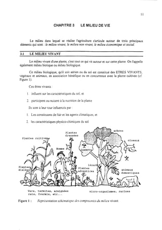 11
CHAPITRE 3 LE MILIEU DE VIE
Le milieu dans lequel se réalise l’agriculture s’articule autour de trois principaux
éléments qui sont : le milieu vivant, Ie milieu non vivant, le milieu fkonomique et social,
3.1 LE MILIEU VIVANT
Le milieu vivant d’une plante, c’est tout ce qui vit autour et sur cette plante. On l’appelle
également milieu biotique ou milieu biologique.
Ce milieu biologique, qu’il soit aérien ou du sol est constitué des ETRES VIVAWS,
végétaux et animaux, en association bénéfique ou en concurrence avec la plante cultivée (cf
Figure 1).
Ces êtres vivants :
1. influent sur les caractéristiques du sol, et
3. participent ou nuisent à la nutrition de la plante
Ils sont à leur tour influencés par :
1. Les constituants de l’air et les agents climatiques, et
3. les caractéristiques physico-chimiques du sol
Plantes cultivé86
7
ta animaux
domestiques
Vers, termites, araignées micro-organismes, racines
rats, fourmis, etc...
Figure 1 : Reprdsr~rtatiort sdkmcrtiqru As compostrr~tesdc milieu L+rmlt.
 