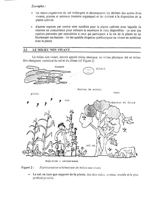 Cwnp Ies :
l Izs micro-orl;anismes du soi melangent et décomposent les déchets des autres ê:rss
vivants, piantes et animaux (matière organique) et les ;r,ztent à la disposition Qe ia
plante cultivée.
l d’autres espèces par contre sont nuisibles pour la plante cultivée avec laquelle ils
rentrent en concurrence pour extraire la noutiture et l’eau disponibles : ce sont des
espèces parasites par opposition à ceux qui participent i1 la vie de la plante en lui
fournissant sesbesoins : on les qualifie d’espècessymbioriques ou vivant en symbiose
avec la plante.
Le milieu non vivant, encore appelé milieu abiotique. ou milieu physique, est un milieu
fort changeant. constirué du sol et du climat (cf Fi,nüre 2).
--
(17
-.k;
Soleil
;’ Rayons de soleiL
vent
Humidité + sécheresse
l Le sol, en tant que support de la pklnte, doit &re st&ie. ccntinu. meuble et le plus
profond pcssibie.
 