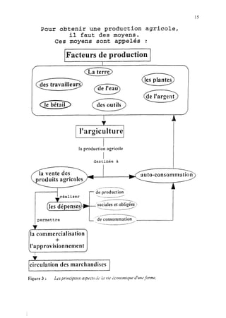 Pour obtenir une production agricole,
il faut des moyens.
Ces moyens sont appelés :
IFacteurs de production /
I
13production agricole
/
destinée à
permettre
;:]
L --,“de consommation--.. ,i
. . .
+
. .
/circulation des marchandises 1
 