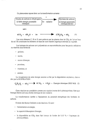 19
Ce phénomène repose donc sur la transformation suivante :
soit :
6COt + 6H20 + hv ------b (CH20)6 + 60, (1)
Les trois éléments C, H et 0 sont prélevés par les plantes dans le CO? de !‘air et l’eau
du sol Ils constituent les éléments de base de toute matière organique animale ou végétale.
Les hydrates de carbone sont polymérisés en macromolécules pour les parois cellulaires
ou réservés sous forme de :
- graisses,
- sucres,
- source d’énergie,
- protéines,
- vitamines. et
- amidon
La récupération de cette énergie stockée se fait par la dégradation oxydarive, c’est-à-
dire par la XESPIRATION :
%Y106i- 60--b 6c02 + 6 30 + Energie chimique !325 KJ) (2)
Cette réaction est considérée comme une reaction inverse de !a photosynthèse, bien que
l’énergie libérée soit sous forme chimique et non radiative.
La transformation s’arrête à l’épuisement du potentiel énergétique des hydrates de
carbone.
Il existe des facteur limitants à ces réactions. Ce sont :
- l’alimentation en énergie,
- la capacité d’absorption d’énergie,
- la disponibilité en CO? dans l’air (teneur de l’ordre de 0,03 ‘36 < l’optimum de
photosynthèse),
 