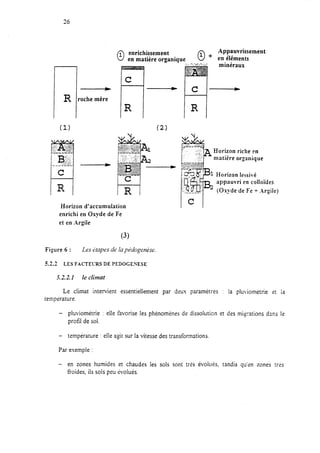 26
01 enrichissement
01 +
Appauvrissement
en matière organique en éléments
minéraux
R /
Horizon d’accumulation
enrichi en Oxyde de Fe
et en Argile
(3)
Figure 6 : Les itnprs de In pédogenPse.
5.2.2 LES FACTEVRS DE PEDOGENESE
5.2.2.1 le climat
R
c
Horizon riche en
matière organique
1 Horizon lessivé
appauvri en colloïdes
(Oxyde de Fe + Argile)
Le climat intervient essentiellement par deus paramètres : ia pluviométrie et la
temp&-ature.
- pluviométrie : elle favorise les phénomènes de dissolution et des migrations dans le
profil de sol.
- température : elle a_oitsur la vitesse des transformations.
Par esemple :
- en zones humides et chaudes les sois sont trÊs évolués, tandis qu’en zones très
froides, ils sols peu évolués.
 