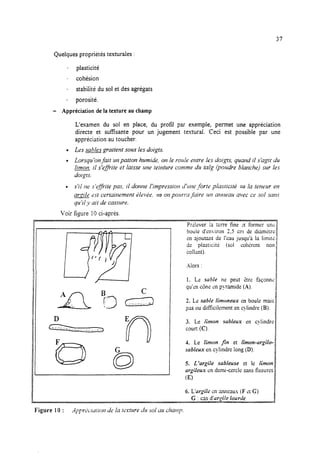37
Quelques propriétés texturales :
. plasticité
. cohésion
. stabilité du sol et des agrégats
e porosité.
- Appréciation de la texture au champ
L’examen du sol en place, du profil par exemple, permet une appréciation
directe et suffisante pour un jugement textural. Ceci est possible par une
appréciation au toucher.
0 Les sables grattent sous les doigts.
0 Lorsqu’on fait un patton humide, on le roule entre les doigts, quand ii s’agit du
limon, il s’effrite et laisse une teinture comme du talg (poudre blanche) sur /es
doigts.
. s’il II~ s’@-ite pas, il donne l’impression d’une -forte plasricitk a la teneur en
aryile est certainement elevL;e. * on porrrra faire un atmeau avec ce sol sans
qui’1 y ait de cassure.
Voir figure 10 ci-après.
P:i!ever la terre fine rt former un
boule d’environ 2.5 cm de diamktr
en ajoutant de l’eau jusqu’i la limit
de plasticité (sol cokrent no.
collant).
Alors :
1. Le subie ne peut Ztre façonni
qu’zncône cn pyramide (A).
2. Le sable limoneux tzn boule mai:
pas ou diffkilement en cylindre (B).
D E
) n
3. Le limon sableux en cylindrr
--__ _-- court (C).
1. Le limon fin et limon-argilo-
sableux en cylindre long (D).
5. L’argile sableuse et le limon
4
argileux en demi-cercle sansfissurez
09
6. L’urgilc cn anneaus (F ct C)
G : casd’yyile lourde.
 