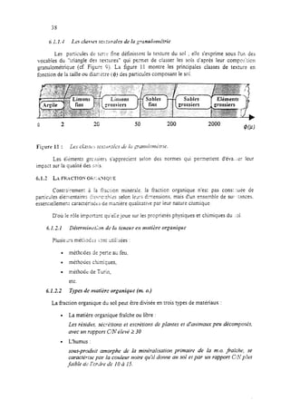 Les pur;icules de IC:;~’ fine définissent la texture du sol ; eile s’exprime sous l’un des
vocables du “wiangle des textures” qui permet de classer les sois d’après leur compoiiGon
oranulométrique (cf. Figwn 9). La figure 11 montre les principales classes de texture en
y&ction de la taille ou dian:tt:re (QI des parricules composant le sol.
Figure 11 : Les chst;.~ le.GuraIc.5 LzeI[i gnan~iic?n~~r~ie.
Les éiGments grcssiers s’appreci ezt selon des normes qui permettent d’éva..;er leur
impact sur la qualité des snls.
Contre;remen’L à la f;-action minérâle. la fraction organique n’es: pas cons; :uée de
particüles élénientairec, S:.,*CSX:~~~CSselor. iegrs dkensions. mais d’un ensemble de su:‘ zmces.
essenueilemefii caracrérisk de nienière qualitative par leur nature chimique.
D’où le r5le importun: qu’elle joue sur les propriétés physiques et chimiques du ;ol
. méthodes de per,e ac feu,
. méthodes chimiques,
. méthode de Turin,
etc.
6.1.2.2 T~ytesde tnurière organique (nt 0.)
La fraction organique du sol peut être divisée en trois types de matériaux :
l La matière organique fraîche ou libre :
Les rhidus, st;c?-étions et excrétions de plantes et d’auinraux peu décompos&s,
uvec un rcrpporr CNélevé 2 30
l L’humus :
sous-produit amorphe de la minéralisution primaire de la m.o. fraîche, se
caractérise par /a couleur noire qu’il dm>le au SOI et par un rapport UATphs
faible a.&>Ior&e de 10 à 1.Y.
 