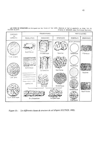 43
LES TYPES DE STRUCTURE se distinguent par leur forme et leur taille. observés a I'œll et apprécibs au dolqt, fors de
l'ersmen du profil. (D'après G. MONNIER. dans Terhnlrlues-Agricoles)
;;/pe grès
T>;e poudingue
FEUILLETEES
SchictolJso
--
_-
_ _.z-
Laminaire
AIIGULEUSES
Frismatique
SPHERIQUES
klassive
Nuciforme
Grumeleuse
En plaquettes
1
:
l
L-
PARTICUAIRES
MINERALES
Cendreuse
Poudreuse
Sableuse
Graveleuse
ORGANIQUES
Fibreuse
Feutrée
Feuillétée
1
Figure 13 : Les diffÉrentes classesde structure du sol (d’après SOLKVER, 1989).
 