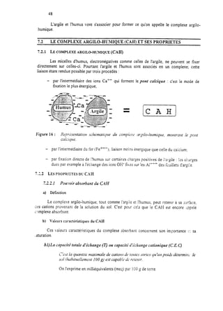 48
L’argile et l’humus vont s’associer pour former ce qu’on appelle le complexe argifo-
humique.
7.2 LE COMPLEXE ARGILO-ENNIQUE (CAIH) ET SES PROPRIETES
7.2.1 LECOMPLEXEARGILO-ITWIQCIE (CAH)
Les micelles d’humus, éiectronégatives comme celles de l’argile, ne peuvent se fixer
directement sur celles-ci. Pourtant l’argile et I’humus sont associés en un complexe; cette
liaison étant rendue possible par trois procédés :
- par l’intermédiaire des ions Ca”
fixation le plus énergique;
qui forment le pont calcique : c’est le mode de
Figure 16 : ReLm-hentatio?! xhkmariqtre du conpitz-è wgiio-hzrmiqrte, mor~tra~t ke pot~t
cnicique.
- par l’intermédiaire du fer (Fe *j, Iiaison moins énergique que ce!ie du caizium;
- par S?tation directe db “9w,, umus sur certaines charges positives de i’argile : les charges
dues par exemple a I’echange des ions OH- fixes sur !es Ali” des f<uilIets d’argiie.
7.3.2 LES PROPRIETESDC CAH
7.2.2.1 Pouvoir absorbant du C”H
a) Définition
Le complexe argile-humique, tout comme i’ar4puS,et I’humus, peut retenir à sa surface,
<es cations provenant de la solution du sol. C’est pour ceis que ie CAH est encore ippe]e
c,>mplexe absorbant.
b) Valeurs cwactéristiques du CAH
Ces vaieur; caractéristiques du compIexe absorbant concernent son importance -L-Y.sa
..&uration.
bl)La mpacit2 totale d’échange (T) ou capacité ri’~chmge cntionique (C.E. Cj
On l’exprime en milliéquivalents (meyj par 1COg de terre
 