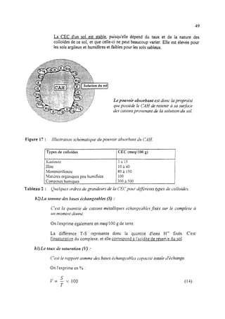 49
La CEC d’un sol est stable, puisqu’eile dépend du taux et de la nature des
colloïdes de ce sol, et que celle-ci ne peut beaucoup varier. EIIe est élevée pour
les sols ar;iIeux et humifères et faibles pour les sols sableux.
Le pouvoir nbsorbant est donc la proprit!ti
que posskde le CAH de retenir ii sa sur&ce
des catiotn provenant de la solution du sol.
Figure 17 : Illustratiorl scht;matiyrte du pouvoir absorbant du CA!?.
Types de colloïdes CEC (meqil00 g)
I
Kaolinite 33 15
Illite loi-10
Montmonllonite Y0 à 150
Matikes organiques peu humifiles 100
Composk humiques 300 a 500
Tableau 2 : QIW~~IIL’Sordres de grandeurs de la CECportr d@&e?lts gpes de coiloides.
b2) La sonme des buses khungeables (S) :
C’est In qlrantitt! de cations mPtall@es 2cha~geablesJxés sur le compltiue à
1111 nlot?1e?It dontli.
On l’exprime également en meq/lOO g de terre.
La différence T-S représente donc la quantité d’ions Hf fixés. C’est
l’insaturation du complexe, et elle correspond à l’acidité de résen.e du sol.
b3) Le taux de snturation (70 :
Ct’st le rapport somme des bases kharqyahies capacitt; totale ti’&haqe.
On l’exprime en % :
sv= - :< 100
T
(1-l)
 