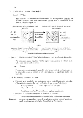 7.3.1 LLS LOIS DE L’Lc’WZGE DES C.ATIONS
.
X3.4.1 1Crf loi .
Pour un même sol, la somme des cations retenus sar le complkse est constante. La
somme 6s c2t:ms libres drns la solution est vnri;b;e, mais s; composit;on rer?tte
ceiie du wmplese (figure 21j.
‘I gpar
Echanges
Possibles
Ca = 25
H = Y5
.lutres catiom
= 13
Pr;r conséquent, quand l’équilibre s’établit, la procgirtion des ior?s en solution est le
re8rr des ~CEShés sur le complexe.
Peur un cstic!~ ~.::~nné,un équiiibre s’étabiit entre In5 carions fixés SUTle complexe er
les catior,s libr-5: dans la solution du soi. Mais I’é--x;i”y-lc)re ne signiAe pas egalité (cf.
fi-ure 22).
7.3.5 LA FLUTION SELZCTIVE DES IONS
0 L’ktensité a-zc !aquelle les ions sont retenus esT er. oénérai la suhznte, par ordre=
d’absorption decroissante. Cer ordre est fonction de leur noyau d’hydr&tation :
Pour l’hmus, c’est l’ion HA qui est.fixé avec ia pius grande intensité.
l L’intensité de fixation dépend de l’état de saturation du complexe.
Pius un 1011est en abondance sur le complexe, moins ii est retenu et inversement,
Remarque : cas pnrticuiier du sodium : moins Ie complexe en contient, moins il le retient ;
phrs le co!?;$exe en est saturé, plus il est difficile de l’en extraire.
 