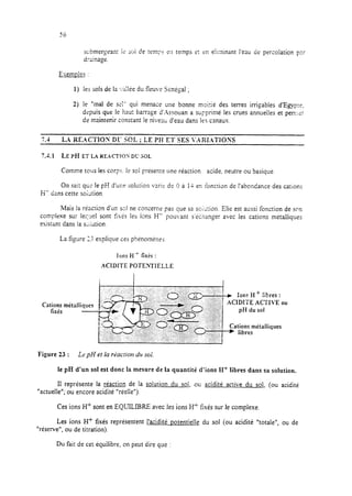 scbmeyean: ii: soi de teny- C’:Itemps e: rn éiiminant l’eau Se percolation pzr
drair,a,oe.
1) les sois de la -.-alléedu fleuve S&@a1 ;
2) le “mal de xl“ qui menace une bonne moirié des terres irrigables d’Egyprc,
depuis que le haut barrage d’.Asrouan a supprimé les crues annuei!es et perr;ie:
de mrintenir constant le nivezi; d’eau dans les canaux.
7.4.1 LEPI EiLAREACTIO~D!JSOL
Comme tous les corps. le soi présente une réaction acide, neutre ou basique
On sai: qL;zle pF! d’i,+~.esolution vzric de 0 à 1-i en Îon&n de l’abondance des carions
H- dans cette so;-Jtion.
Mais la réackn d’w S=I ne concerne pas que sa so;:i:ion. Elie est aussi fonction de SOT~
complexe sur lewel sont fixés les ions H- pow’ant s’kanger avec les cations métalliques
existant dans ia s&ution.
La figure 2 explique ces phénomènes.
Ions H + fixés :
ACIDITE POTEXTIELLE
Cations métalliques
fixés -
Figure 23 : LepH et la riaction dr sol.
+ Ions H + libres :
ACIDITE Aff IVE ou
pH du sol
Cations métalliques
* libres
le pH d’un sol est donc la mesure de la quantité d’ions H+ libres dans sa solution.
Il représente la réaction de la solution du sol, oc acidité active du sol, (ou acidité
“actuelle”; ou encore acidité “réelle”).
Ces ions H+ sont en EQUILIBRE avec les ions H’ fixés sur le complexe.
Les ions H’ fixés représentent l’acidité Dotentielle du sol (ou acidité “totaIe”, ou de
“réserve”, ou de titration).
Du fait de cet équilibre, on peut dire que :
 