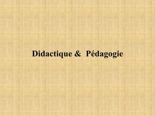 Didactique & Pédagogie
 