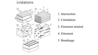 Linéations
1. Intersection
2. Crénulation
3. Etirement minéral
4. Etirement
5. Boudinage
 