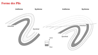 Forme des Plis
 