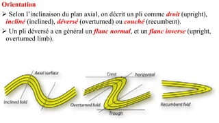 Orientation
➢ Selon l’inclinaison du plan axial, on décrit un pli comme droit (upright),
incliné (inclined), déversé (overturned) ou couché (recumbent).
➢ Un pli déversé a en général un flanc normal, et un flanc inverse (upright,
overturned limb).
 