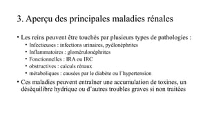 3. Aperçu des principales maladies rénales
• Les reins peuvent être touchés par plusieurs types de pathologies :
• Infectieuses : infections urinaires, pyélonéphrites
• Inflammatoires : glomérulonéphrites
• Fonctionnelles : IRA ou IRC
• obstructives : calculs rénaux
• métaboliques : causées par le diabète ou l’hypertension
• Ces maladies peuvent entraîner une accumulation de toxines, un
déséquilibre hydrique ou d’autres troubles graves si non traitées
 