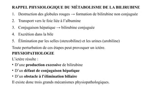 RAPPEL PHYSIOLOGIQUE DU MÉTABOLISME DE LA BILIRUBINE
1. Destruction des globules rouges → formation de bilirubine non conjuguée
2. Transport vers le foie liée à l’albumine
3. Conjugaison hépatique → bilirubine conjuguée
4. Excrétion dans la bile
5. Élimination par les selles (stercobiline) et les urines (urobiline)
Toute perturbation de ces étapes peut provoquer un ictère.
PHYSIOPATHOLOGIE
L’ictère résulte :
• D’une production excessive de bilirubine
• D’un défaut de conjugaison hépatique
• D’un obstacle à l’élimination biliaire
Il existe donc trois grands mécanismes physiopathologiques.
 