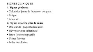 SIGNES CLINIQUES
1. Signes généraux
• Coloration jaune de la peau et des yeux
• Fatigue
• Anorexie
2. Signes associés selon la cause
• Douleur de l’hypochondre droit
• Fièvre (origine infectieuse)
• Prurit (ictère obstructif)
• Urines foncées
• Selles décolorées
 