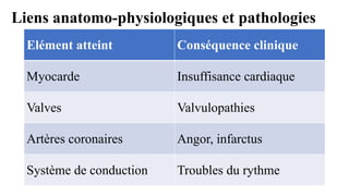 Liens anatomo-physiologiques et pathologies
Elément atteint Conséquence clinique
Myocarde Insuffisance cardiaque
Valves Valvulopathies
Artères coronaires Angor, infarctus
Système de conduction Troubles du rythme
 