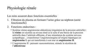 Physiologie rénale
Les reins assurent deux fonctions essentielles
1. Filtration du plasma en formant l’urine grâce au néphron (unité
fonctionnelle)
2. Fonctions endocrines :
• Système rénine-angiotensine-aldostérone (régulation de la pression artérielle) :
la rénine est sécrétée au niveau rénal (à la suite d’une baisse de la pression
artérielle dans l’artériole afférente, d’une stimulation du système nerveux
sympathique…) transformer l’angiotensinogène (d’origine hépatique) en
angiotensine I, qui est transformée à son tour en angiotensine II.
• L’angiotensine II : puissant vasoconstricteur, stimule la sécrétion de
l’aldostérone
 