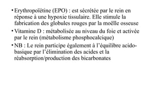 •Erythropoïétine (EPO) : est sécrétée par le rein en
réponse à une hypoxie tissulaire. Elle stimule la
fabrication des globules rouges par la moëlle osseuse
•Vitamine D : métabolisée au niveau du foie et activée
par le rein (métabolisme phosphocalcique)
•NB : Le rein participe également à l’équilibre acido-
basique par l’élimination des acides et la
réabsorption/production des bicarbonates
 