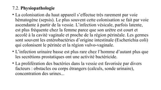7.2. Physiopathologie
• La colonisation du haut appareil s’effectue très rarement par voie
hématogène (sepsis). Le plus souvent cette colonisation se fait par voie
ascendante à partir de la vessie. L’infection vésicale, parfois latente,
est plus fréquente chez la femme parce que son urètre est court et
accolé à la cavité vaginale et proche de la région périnéale. Les germes
sont souvent les entérobactéries d’origine intestinale (Escherichia coli)
qui colonisent le périnée et la région vulvo-vaginale.
• L’infection urinaire basse est plus rare chez l’homme d’autant plus que
les secrétions prostatiques ont une activité bactéricide.
• La prolifération des bactéries dans la vessie est favorisée par divers
facteurs : obstacles ou corps étrangers (calculs, sonde urinaire),
concentration des urines...
 