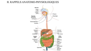 II. RAPPELS ANATOMO-PHYSIOLOGIQUES
 