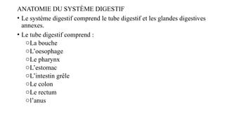 ANATOMIE DU SYSTÈME DIGESTIF
• Le système digestif comprend le tube digestif et les glandes digestives
annexes.
• Le tube digestif comprend :
oLa bouche
oL’oesophage
oLe pharynx
oL’estomac
oL’intestin grêle
oLe colon
oLe rectum
ol’anus
 
