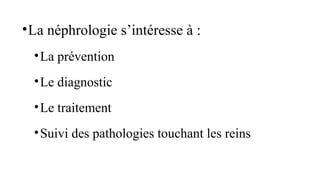 •La néphrologie s’intéresse à :
•La prévention
•Le diagnostic
•Le traitement
•Suivi des pathologies touchant les reins
 
